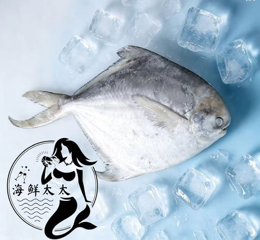 White Pomfret – Whole (Frozen)
