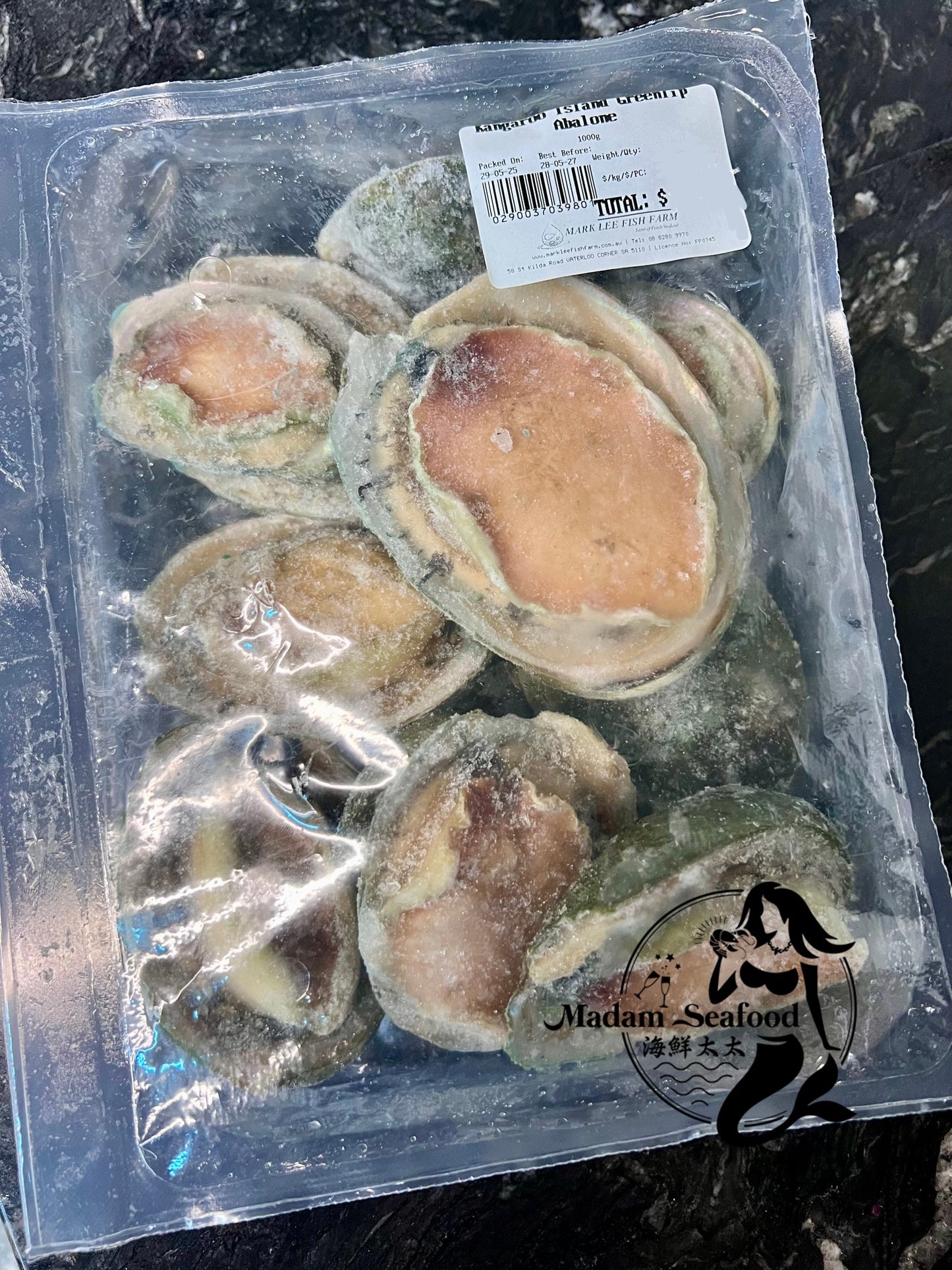 Yumbah Baby Greelip Abalone (frozen)