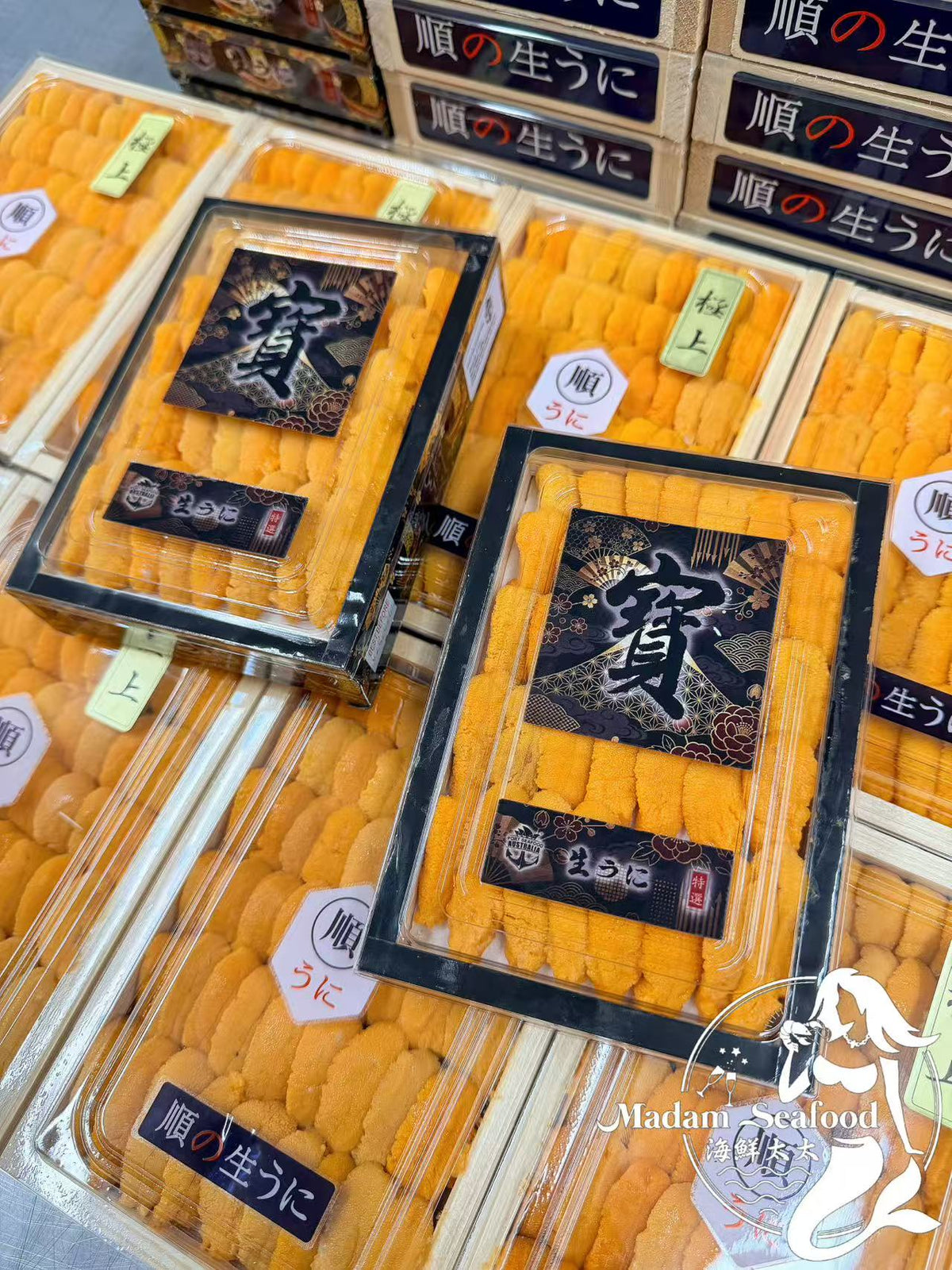 Japanese premium sea urchin roe in a wooden tray — placeholder image, pending Murasaki photography