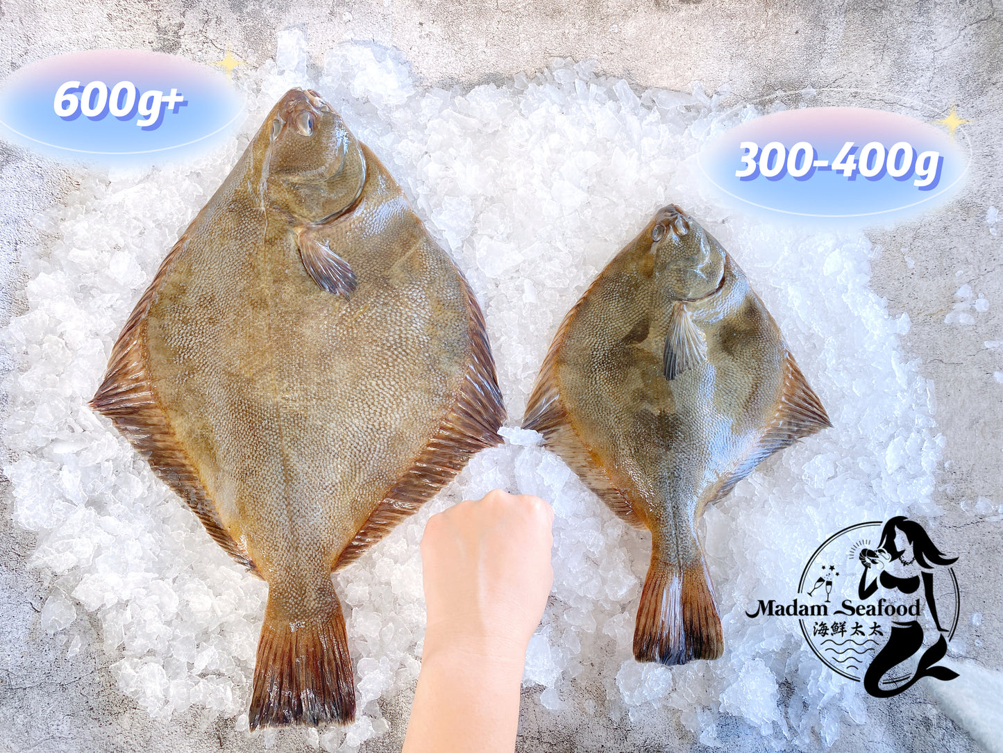 Fresh New Zealand Flounder (Jumbo)