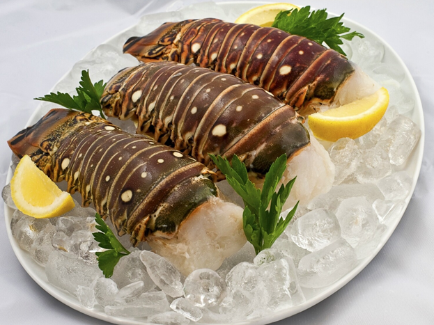 Brazilian Lobster Tail (Frozen)
