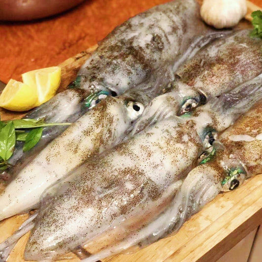 Frozen SA Southern Calamari (whole)