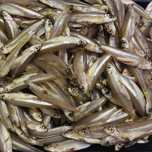 Whitebait (Frozen)