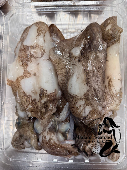 Frozen SA Squid (whole) (mixed size)