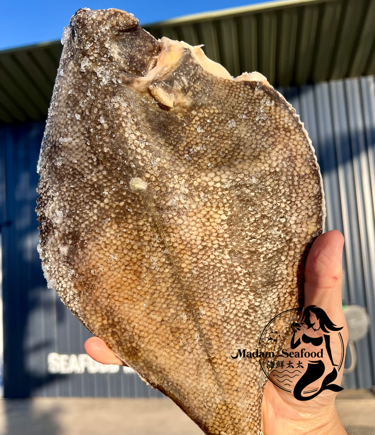 Wild Caught Jumbo Flounder – Head Off, Cleaned (Frozen)