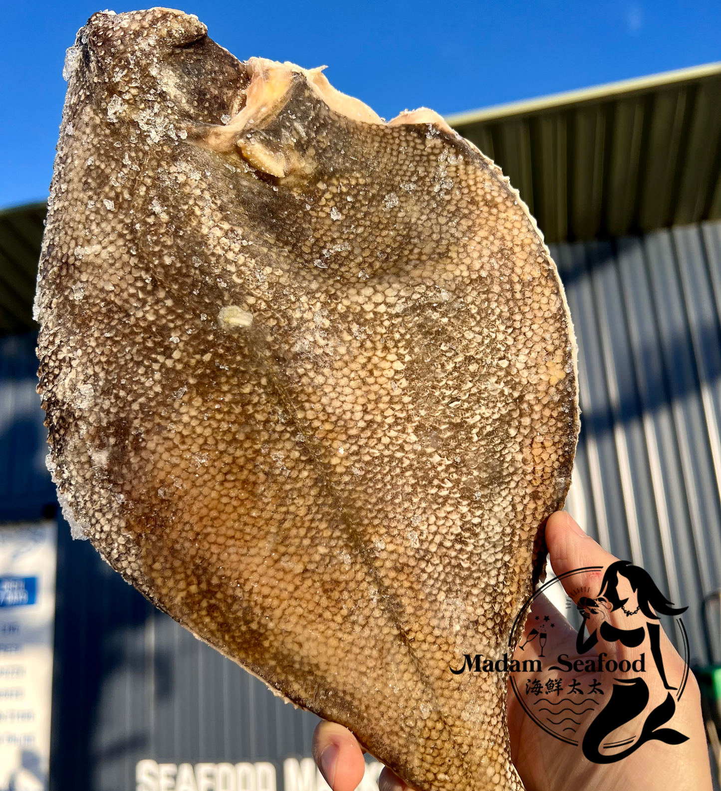 Wild Caught Jumbo Flounder – Head Off, Cleaned (Frozen)