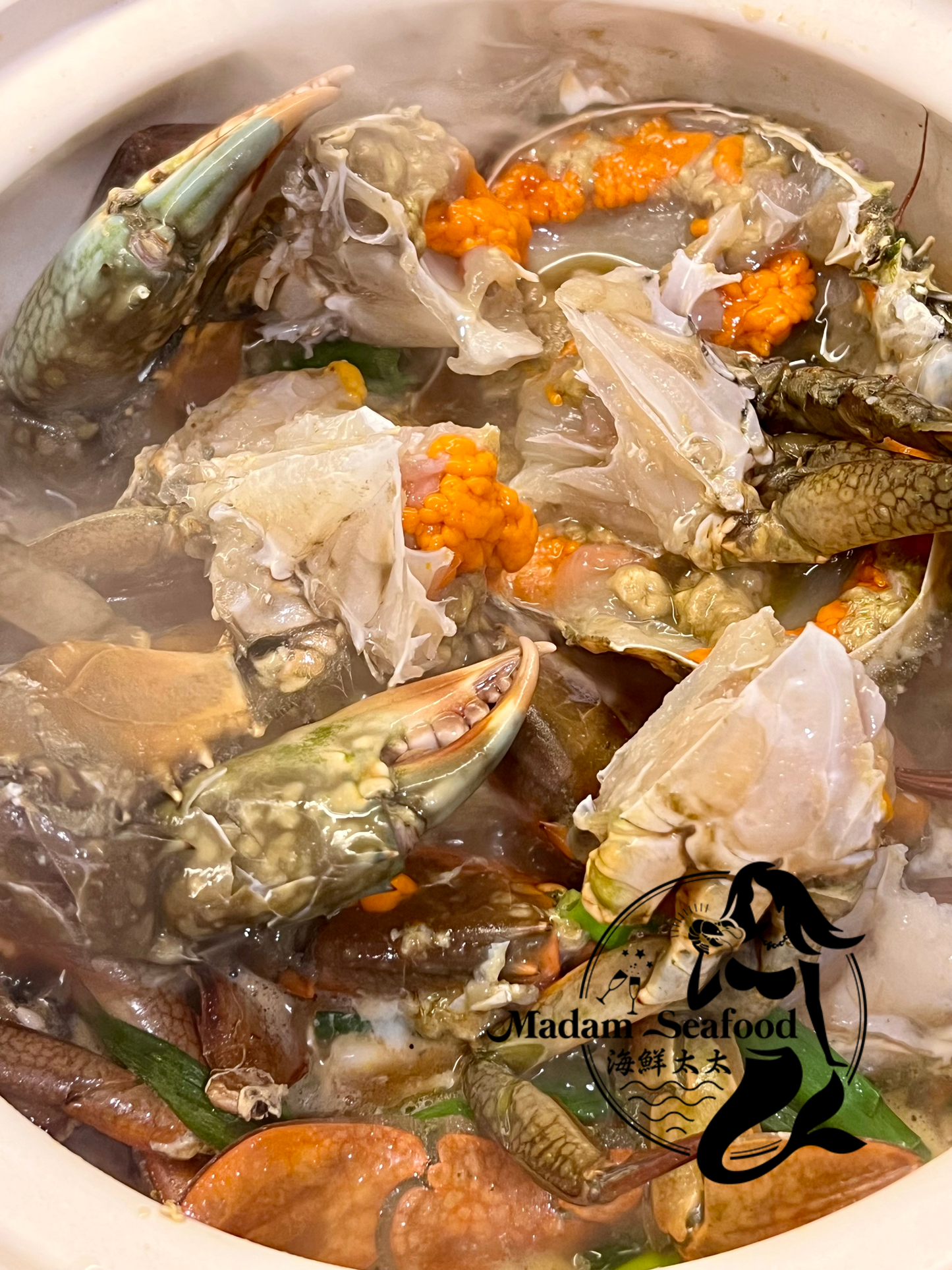 Live Female Mud Crab