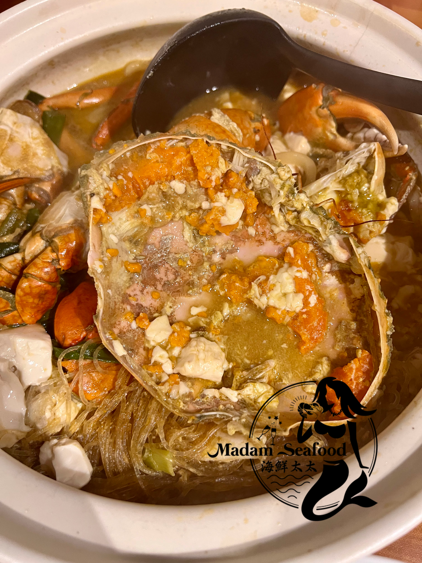 Live Female Mud Crab