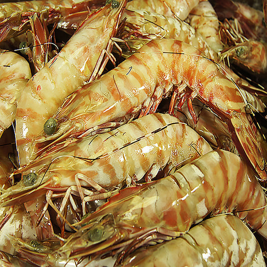 Queensland Wild Tiger Prawns (Extra Large) (Raw) (Frozen)