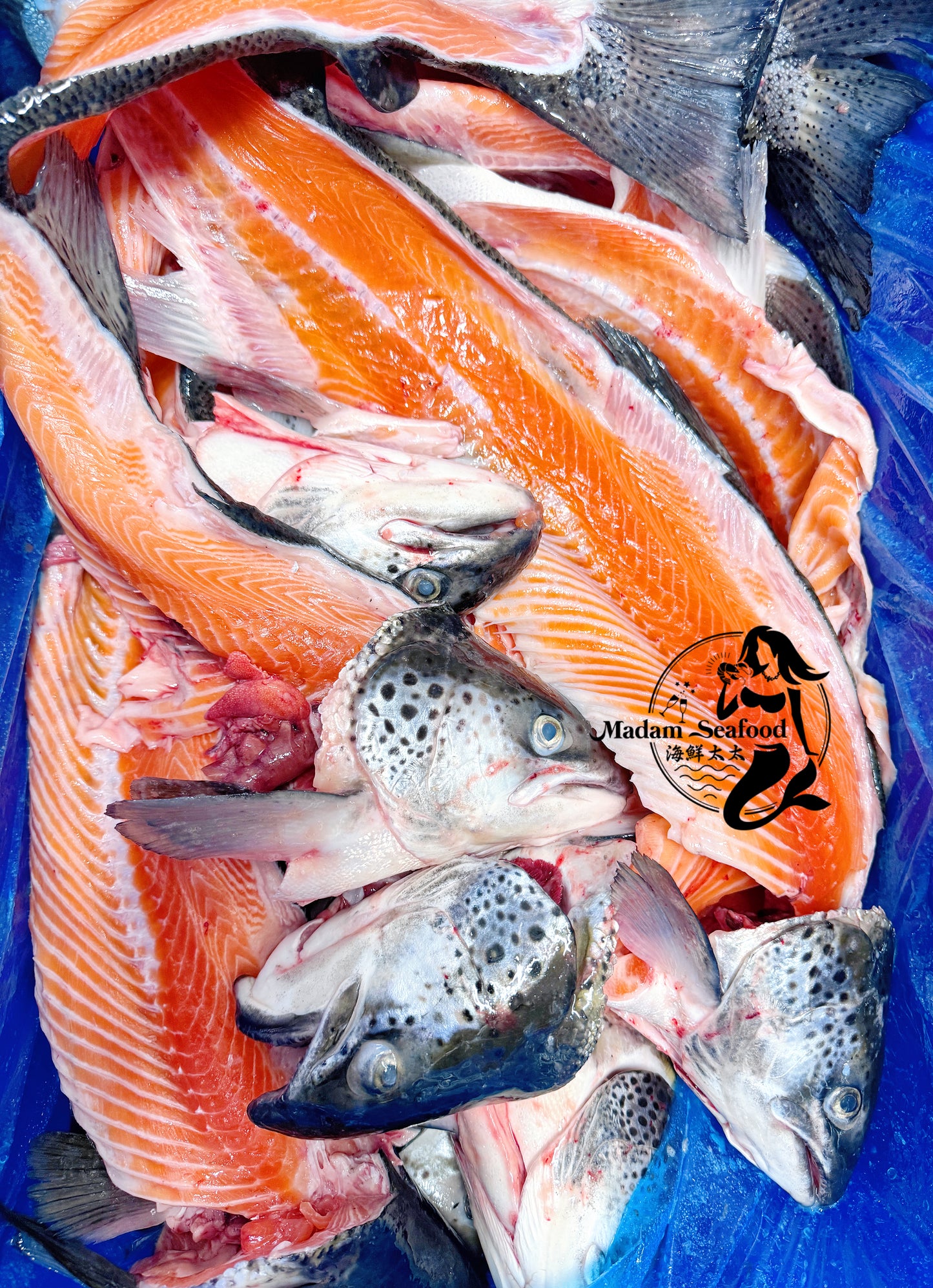 Fresh Atlantic Salmon Head/Off-Cuts【MEGA SALE】