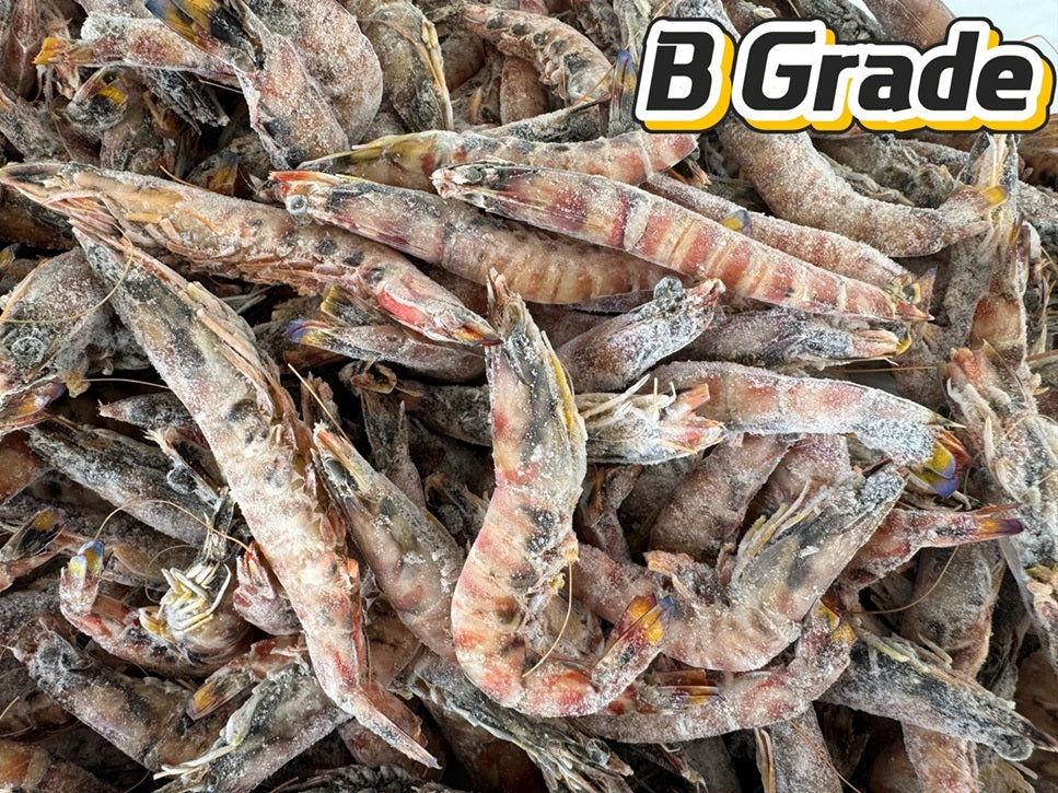 【B Grade Sale】Japonica Tiger Prawn (Raw) (frozen)