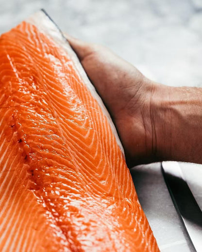Fresh Sashimi Grade New Zealand King Salmon (Skin off)