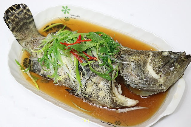 [SALE] Fresh Queensland Grouper