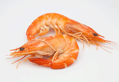 South Australian King Prawn (X-Large U10) (cooked)