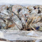 Cristal Blue Paradise Prawn Large (Raw) (frozen)