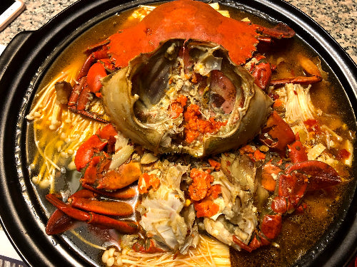 Live Female Mud Crab