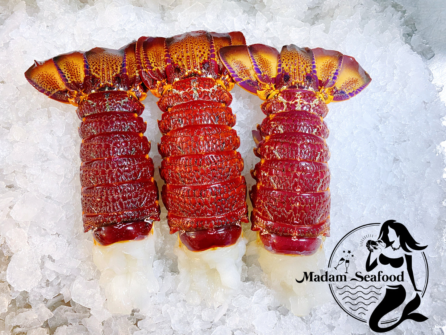 Southern Rock Lobster Tail (Frozen)