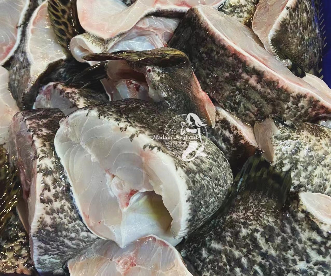 [SALE] Fresh Queensland Grouper